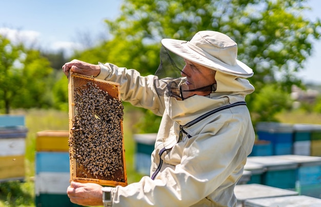 Handsome beekeeper holding honeycomb full of bees Honey farming man with wooden beehive frame