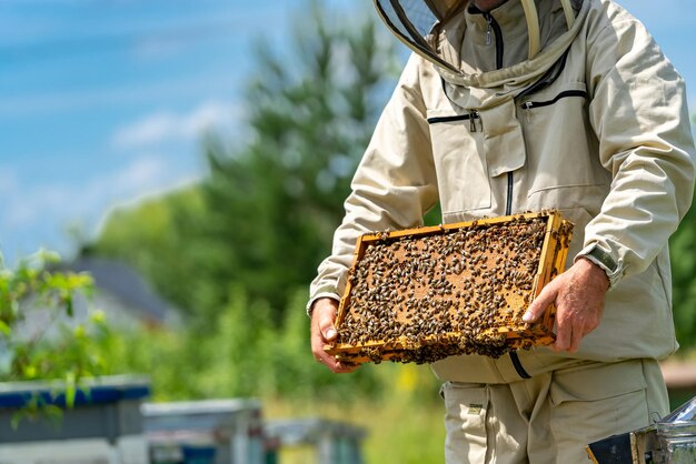 Handsome beekeeper holding wooden frame. Agricultural bee protection.