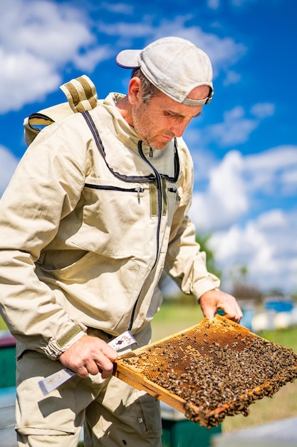 Handsome beekeeper with wooden frame Summer honey farming