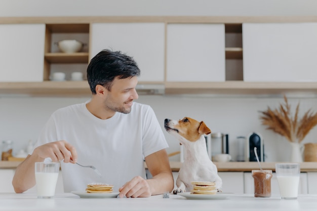 Handsome brunet male looks gladfully at his pet, has sweet dessert for breakfast, enjoys weekend has good relationship with pet pose at kitchen interior in modern apartment. People, nutrition, animals