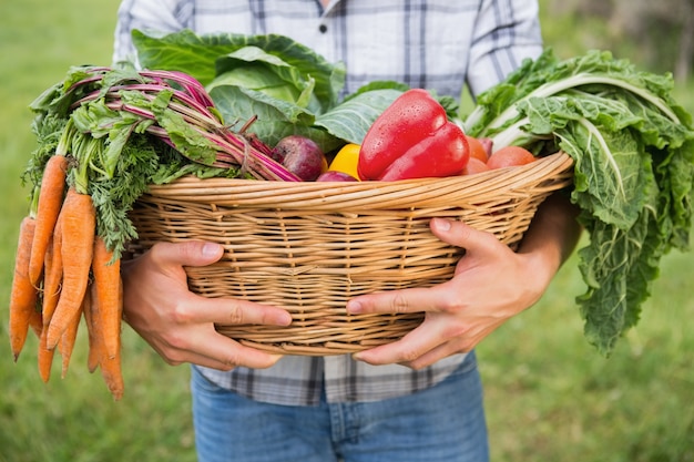 Handsome farmer with basket of veg