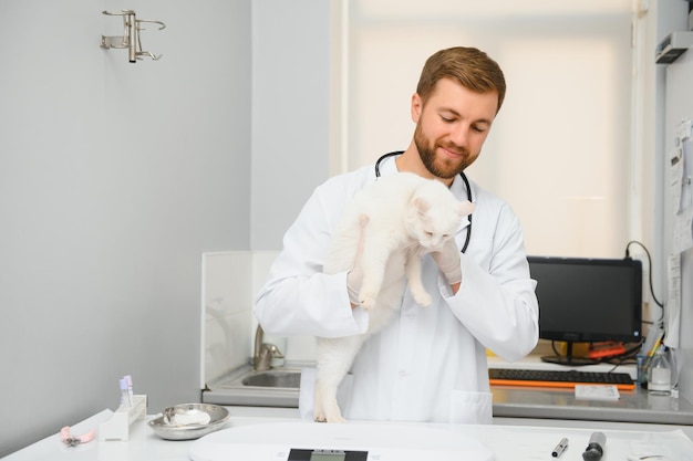 Handsome young veterinarian holding cat in clinic