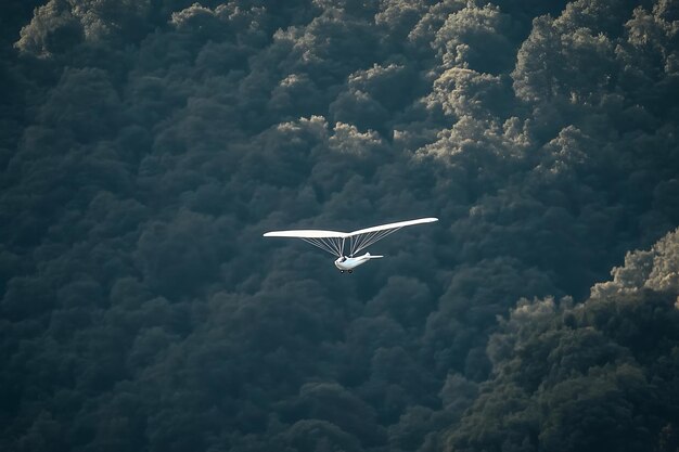 Hang Glider Soaring Through a Sea of Clouds