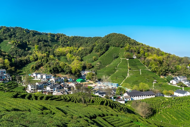 Hangzhou West Lake Longjing Tea Mountain