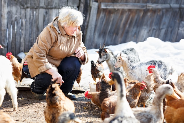 Happy adult woman cares little goats and chickens on home farm