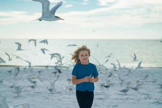 Happy amazed kid running chasing birds kid chasing birds near beach on summer day child and seagull