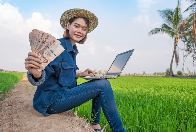 Happy asian farmer woman sitting and using laptop computer with holding banknote money at green rice farm