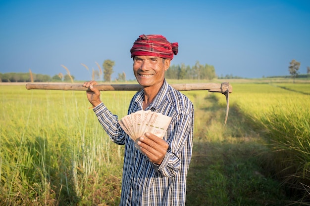 Happy Asian man farmer with smiling face hand holding money in rice farm cash subsidy concept