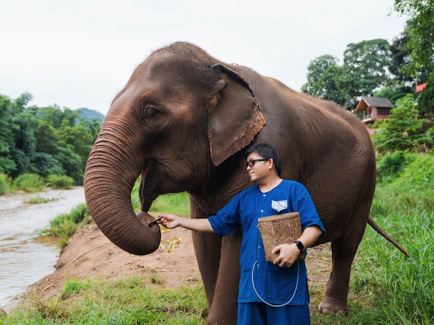 Happy Asian man feeding Elephant with sugar cane in tropical green forest near river at sanctuary in Chiang Mai Thailand. mature adult in Thai Northern traditional cloths. tourist activity.