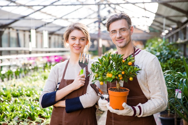 Happy attractive woman and man gardeners holding small mandarine tree and tools for plants transplsntation in garden center