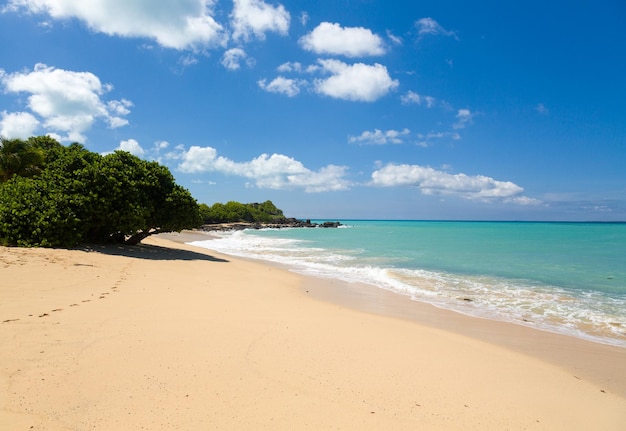 Happy Bay off coast of St Martin Caribbean