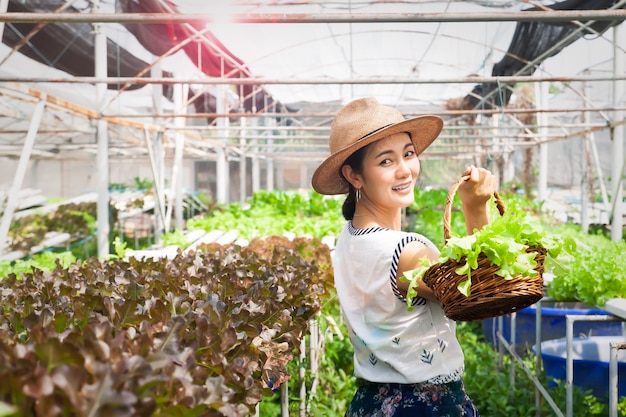 Happy and beauty asian woman holding salad vegetables basket in farm