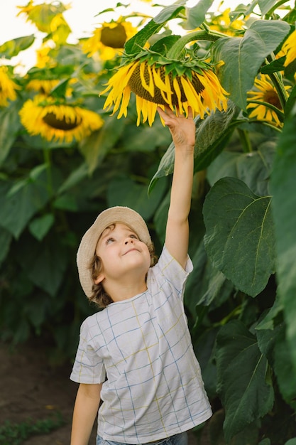 Happy boy walking in field of sunflowers Child playing with big flower and having fun