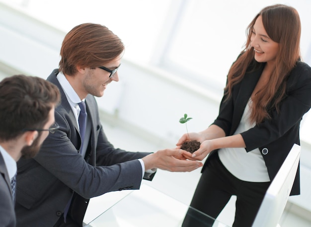 Happy business team is looking at a little sproutphoto with copy space