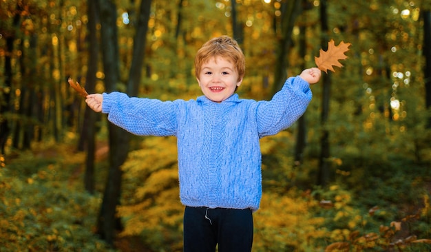 Happy child boy playing in autumn park cute kid in sweater with autumn oak leaves in forest