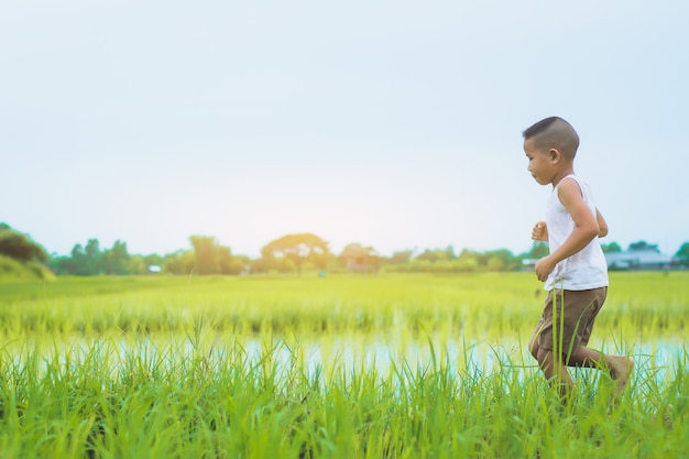 Happy Children wearing a white shirt playing in green farm field in summertime.