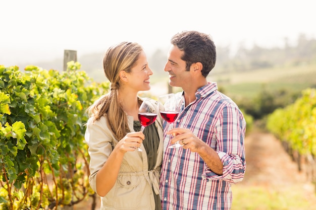 Happy couple toasting glasses of wine