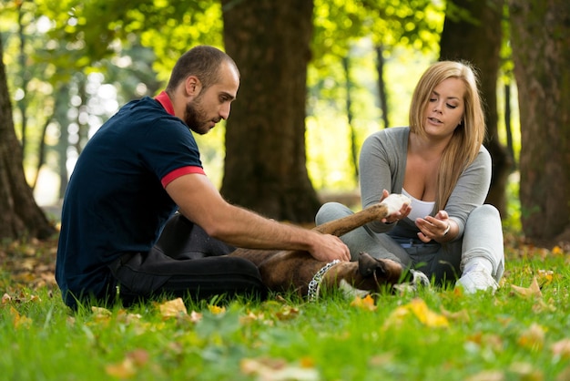 Happy Couple With German Boxer