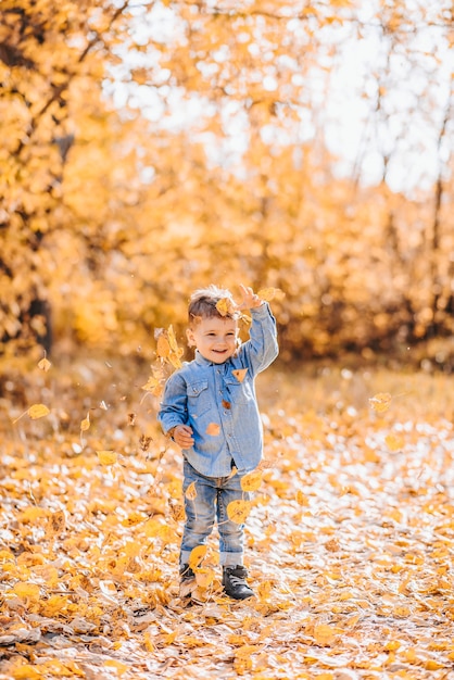 Happy cute boy playing with autumn leaves in the Park