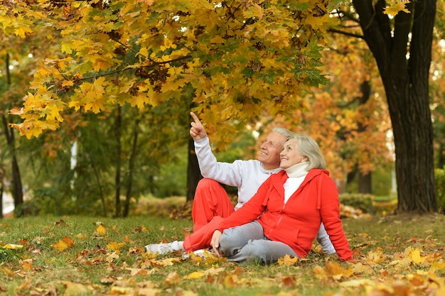 Happy cute senior couple in autumn park