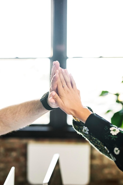 Happy diverse colleagues in a startup company doing a high five