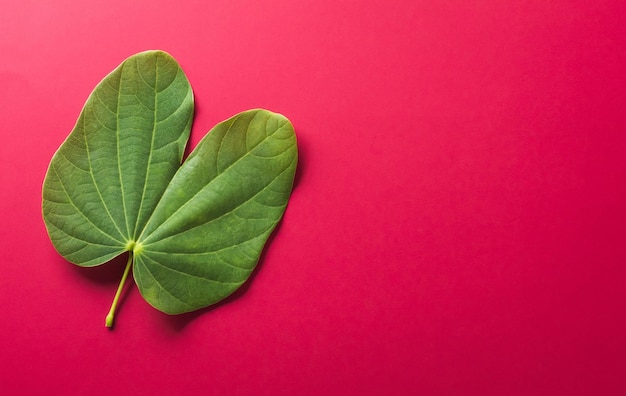 Happy Dussehra background concept made from green leaf on red paper background Dussehra Indian Festival concept