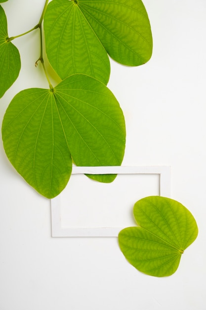 Happy Dussehra greeting card , green apta leaf and rice, Indian festival dussehra