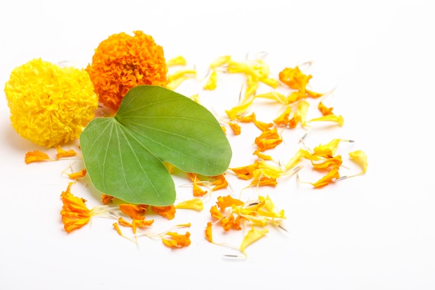 Happy Dussehra greeting card green leaf and marigold flower