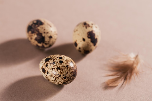 Happy Easter card with natural color eggs and feathers