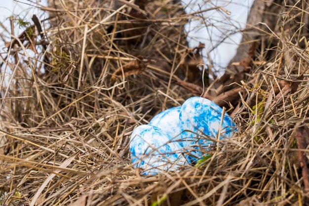 Happy Easter colorful eggs in nest