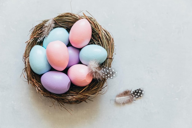 Happy easter concept preparation for holiday colorful pastel decorated easter eggs in nest with feat