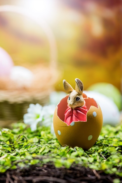 Happy Easter day, bunny and egg, Christians worldwide celebrate