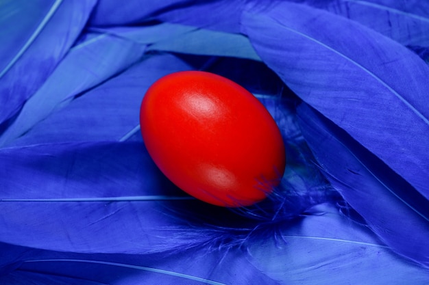 Happy Easter. Easter minimal creative greeting card. Copy space. Red egg and blue feathers