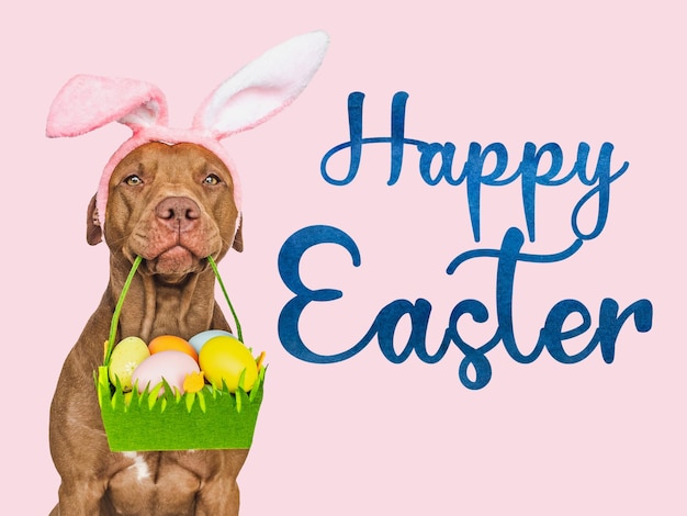 Happy Easter Lovable pretty puppy and congratulatory message