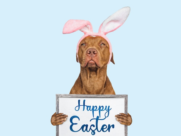 Happy Easter Lovable pretty puppy and congratulatory message