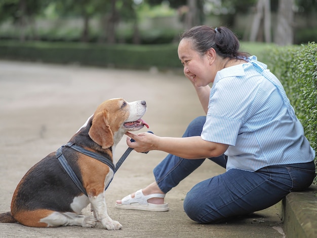 Happy elderly woman chatting with a beagle, relax time concept