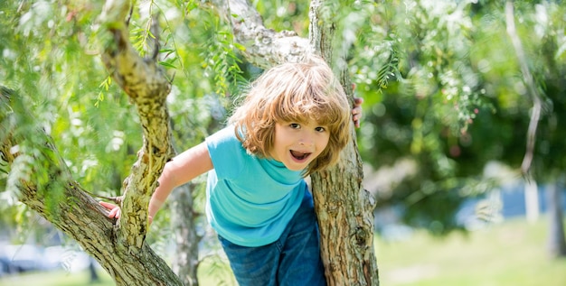 Happy energetic boy kid climb tree summer outdoors, tree climbing