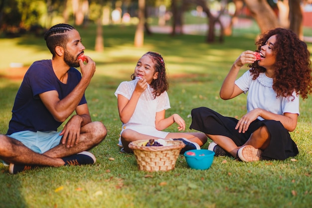 Happy family doing picnic in the park