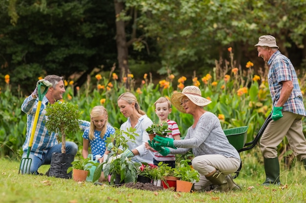 Happy family gardening 