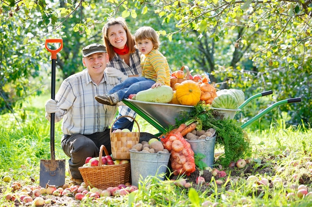 Happy family harvests  in a garden outdoors