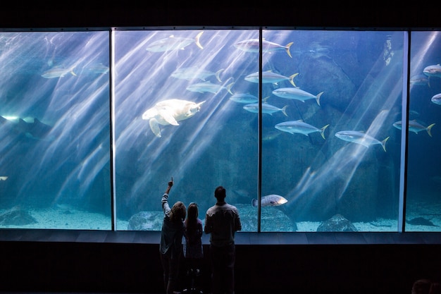 Happy family looking at the fish tank