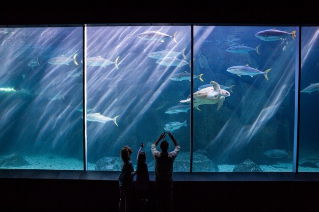 Happy family looking at the fish tank