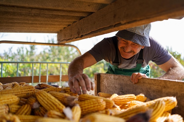 Happy farmer is satisfied with his corn harvest at countryside