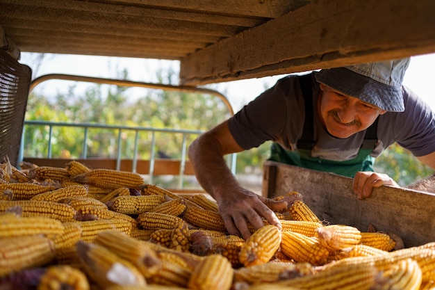 Happy farmer is satisfied with his corn harvest at countryside