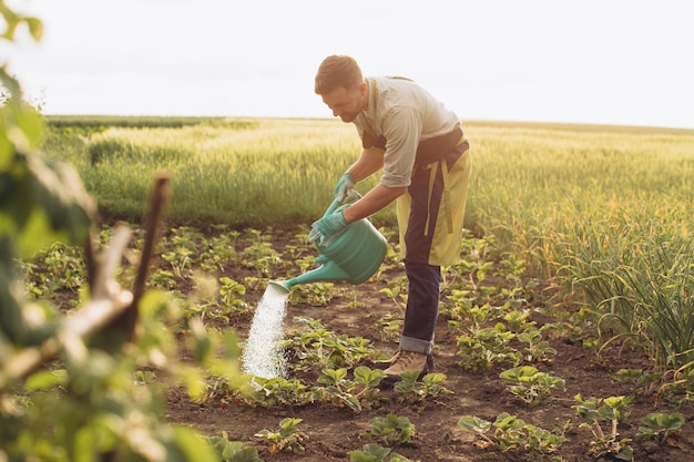 Happy farmer man waters the beds and works in the garden