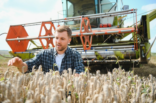 Happy farmer proudly standing in a field Combine harvester driver going to crop rich wheat harvest Agronomist wearing flannel shirt looking at camera on a farmland