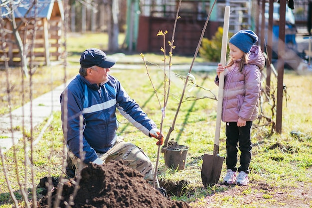 Happy father with his daughter planting a fruit tree