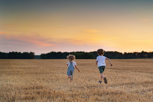 Happy and free people, children run through the beveled field of wheat, people from behind.