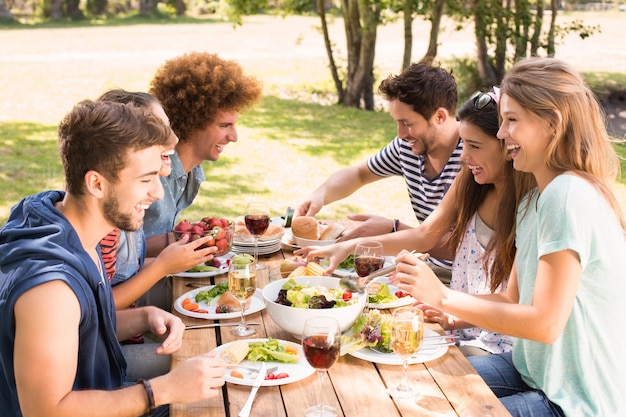 Happy friends in the park having lunch