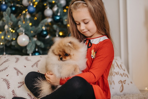 Happy girl posing with cute puppy, X-mas tree on background, long-awaited fluffy present, joy